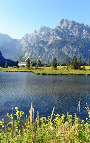 Almsee (c) Tourismusverband Traunsee-Almtal - Genuss am Almfluss