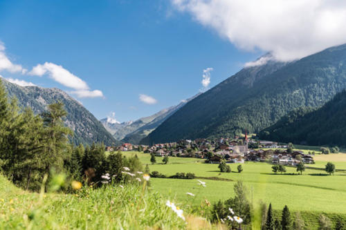 Zwischen Alpen und südländisch anmutenden Weinbergen