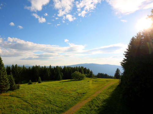 familiengasthof-schwarzwald-4